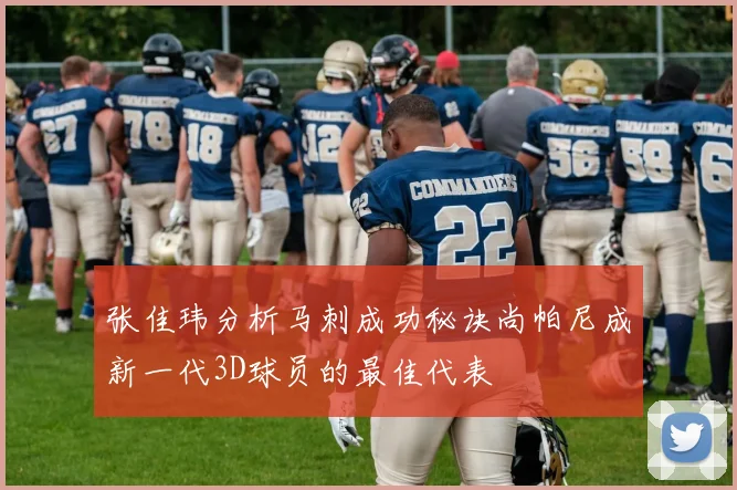 张佳玮分析马刺成功秘诀尚帕尼成新一代3D球员的最佳代表