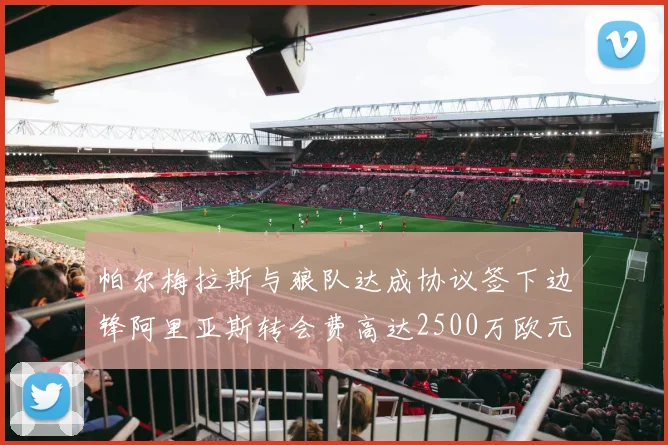 帕尔梅拉斯与狼队达成协议签下边锋阿里亚斯转会费高达2500万欧元