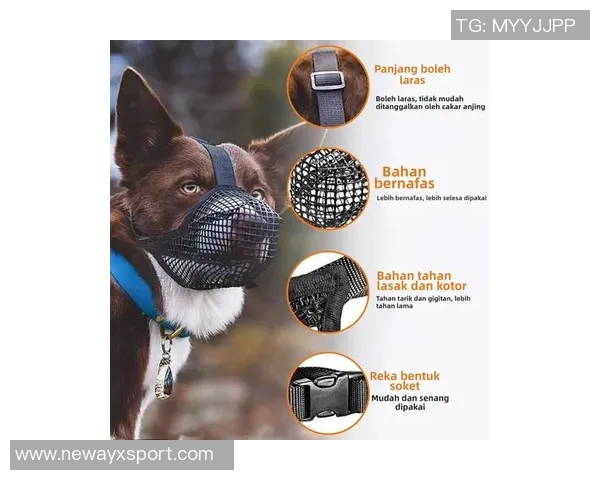 马祖拉称冈萨雷斯对角色认知清晰以最高标准进行防守 马祖拉称冈萨雷斯对角色认知清晰以最高标准进行防守